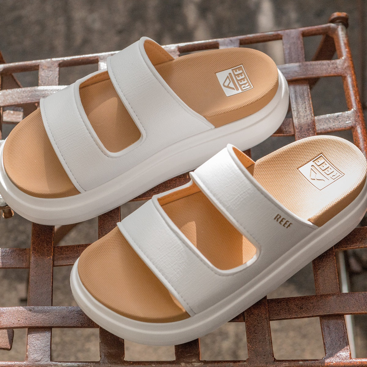 Cushion Bondi 2 Bar - Image 6