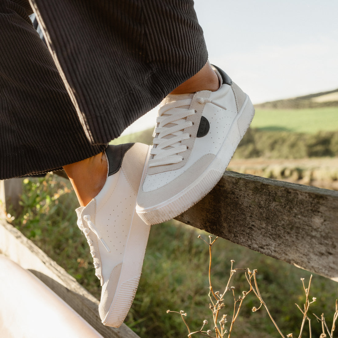 Lay Day Seas - Image 10