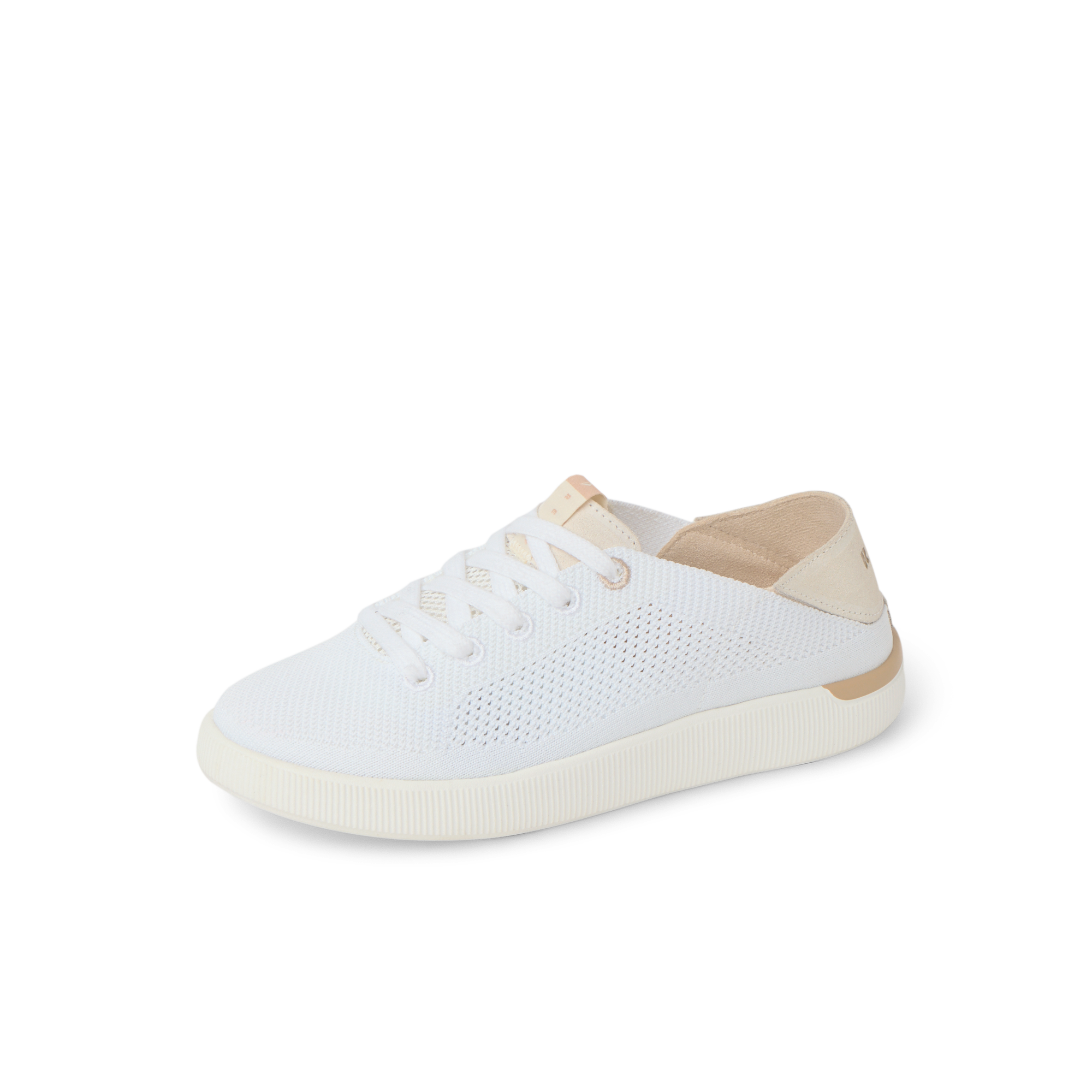 Reef Neptune - Image 6