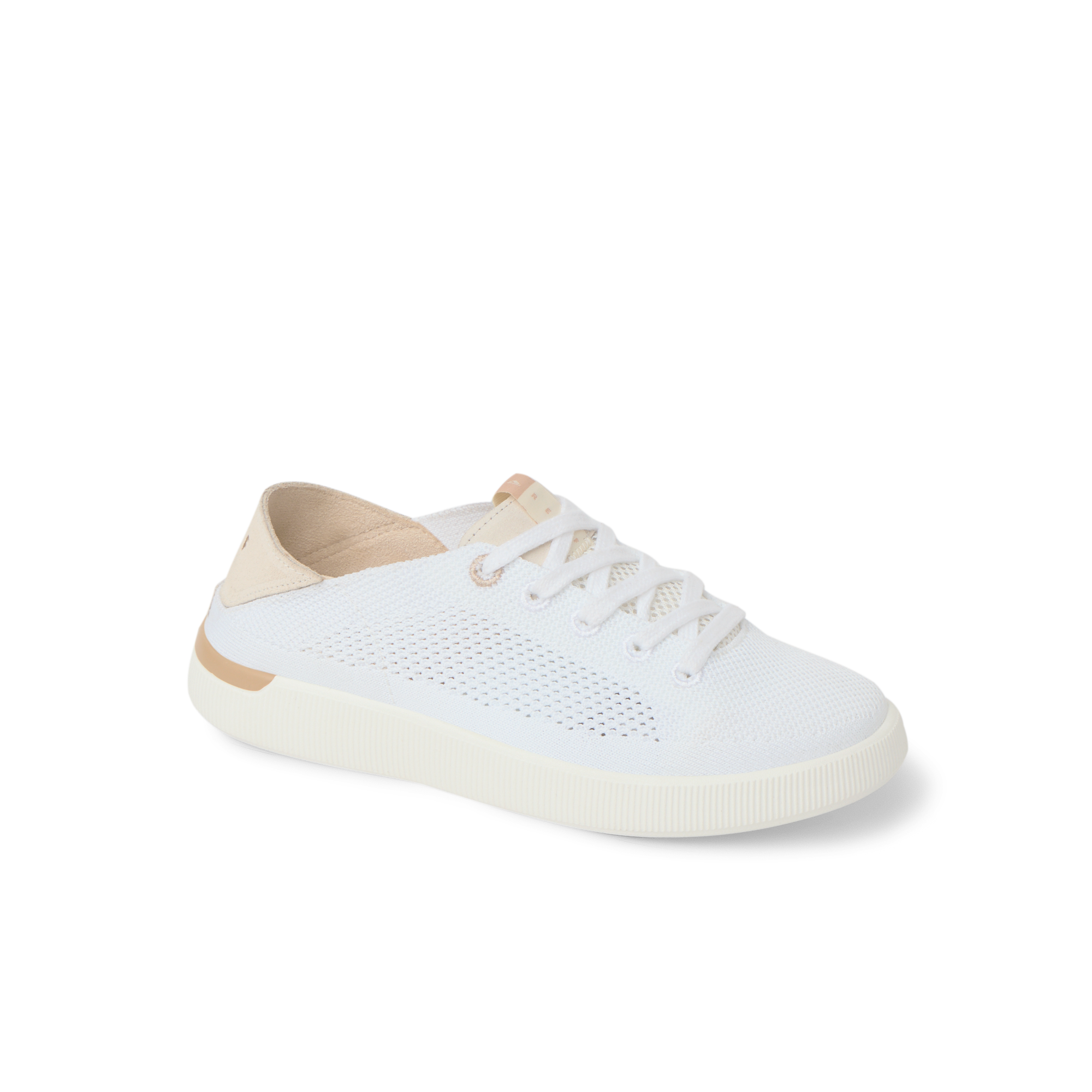 Reef Neptune - Image 4