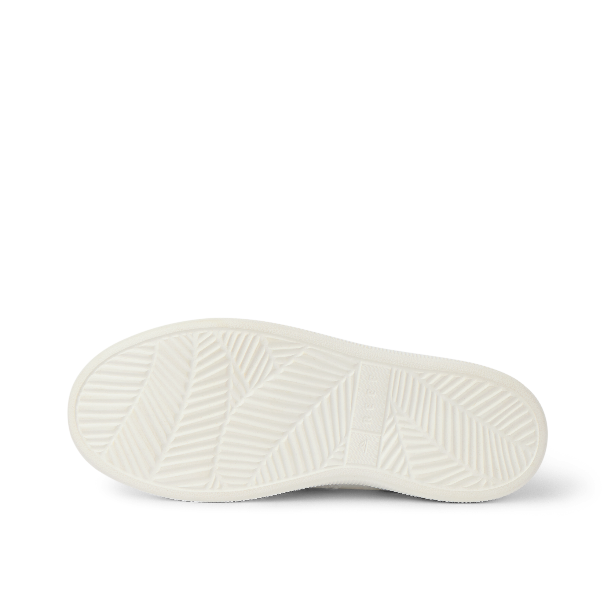 Reef Neptune - Image 9