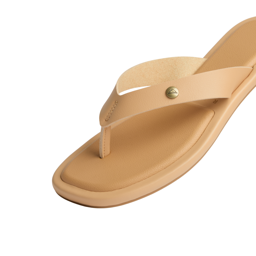 Willow Ella - Image 4