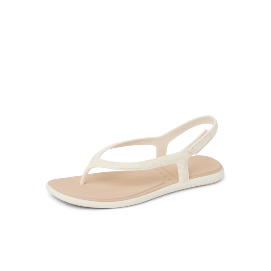 Water Willow Maya - Image 8