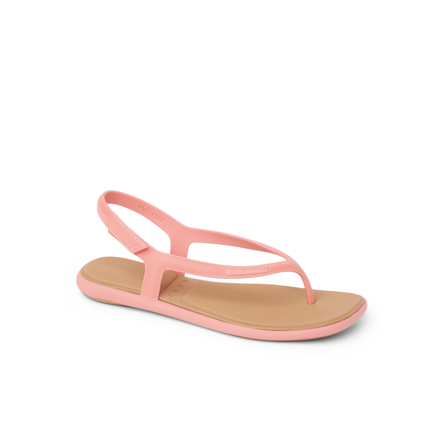 Water Willow Maya - Image 2