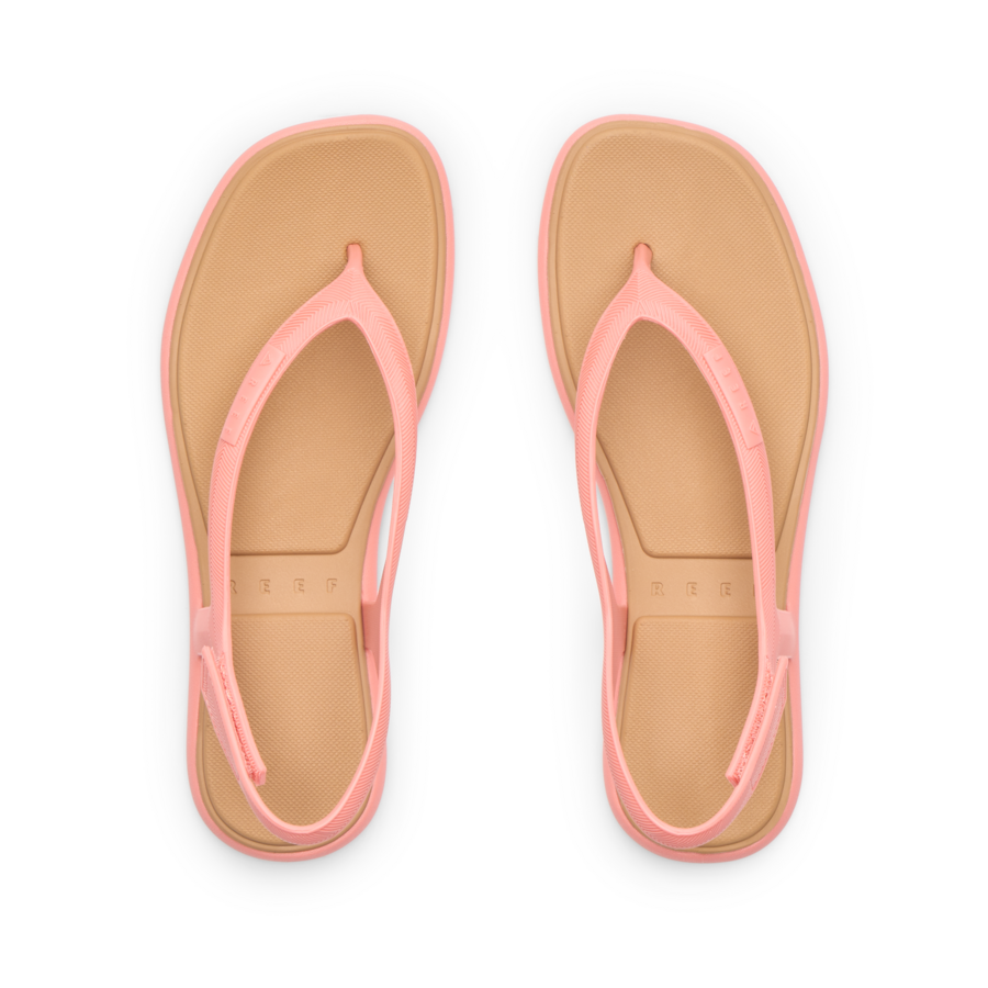 Water Willow Maya - Image 3