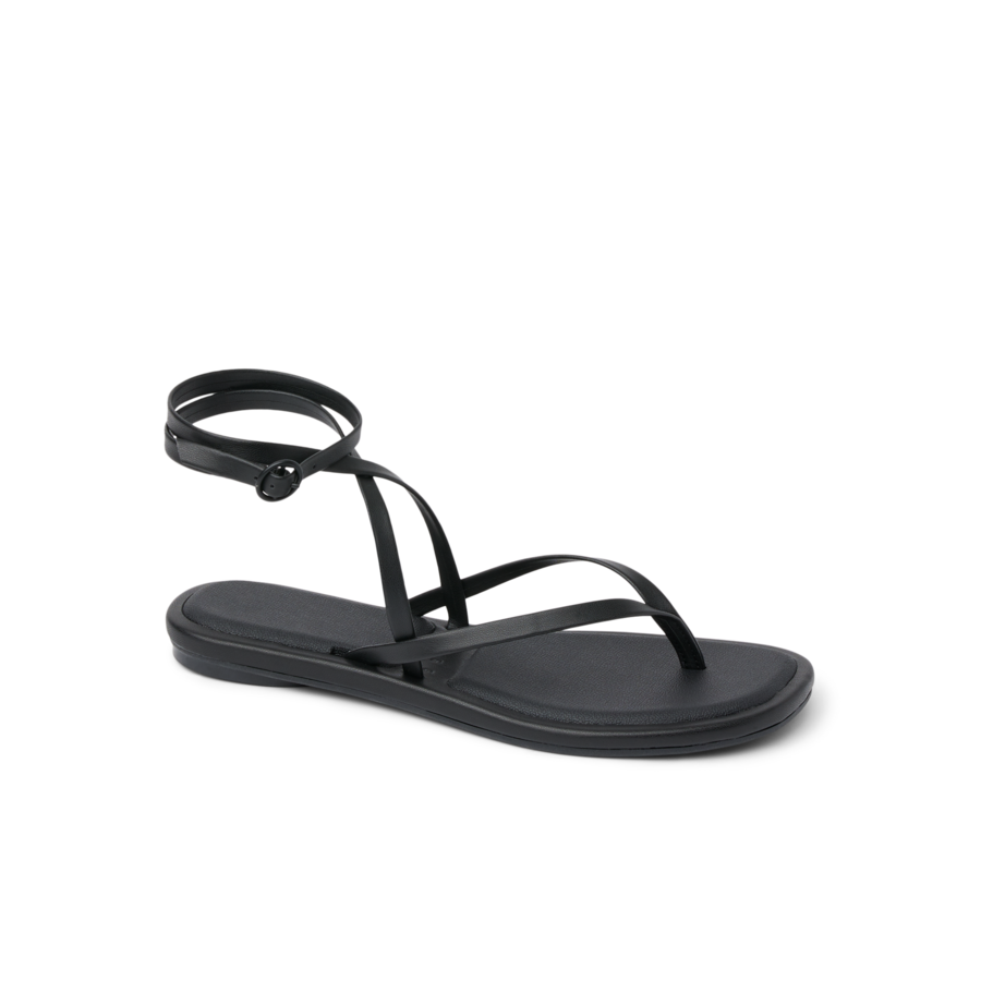 Willow Quinn - Image 2