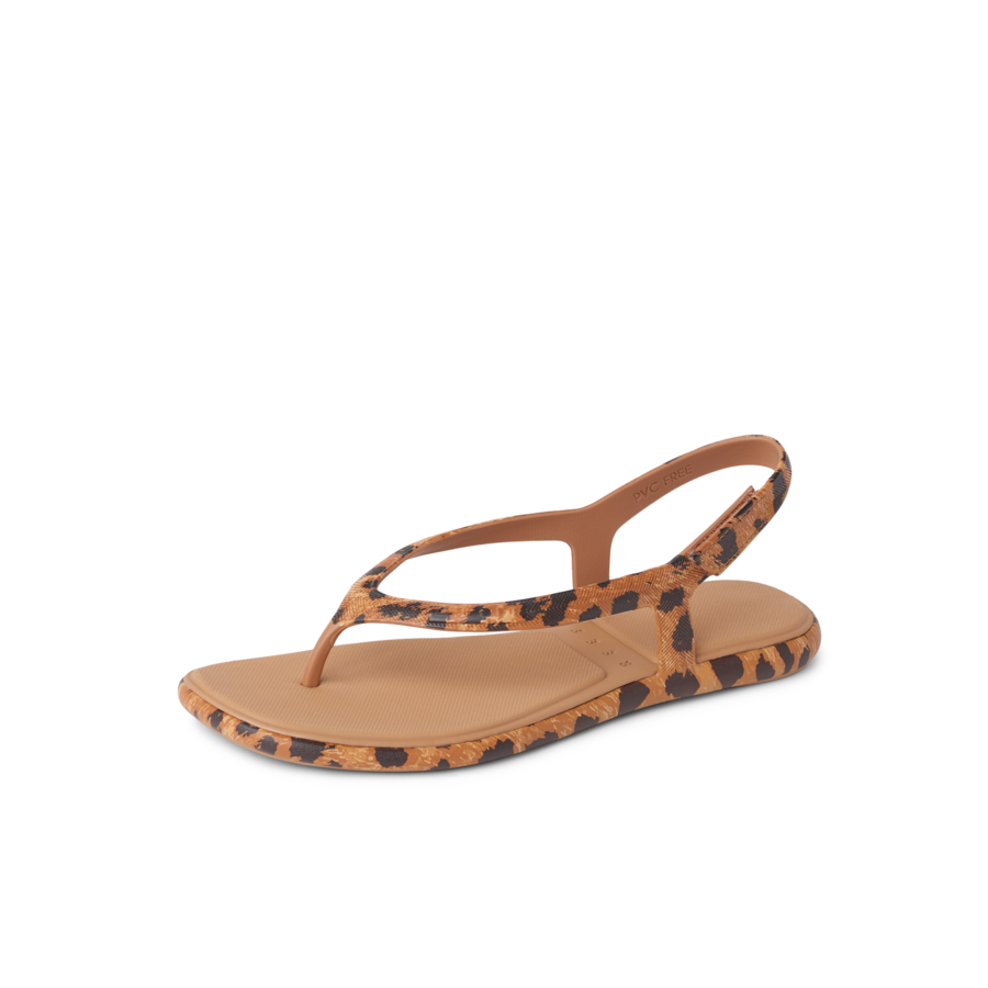 Water Willow Maya - Image 5