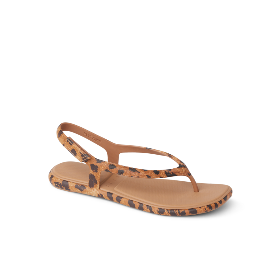 Water Willow Maya - Image 2