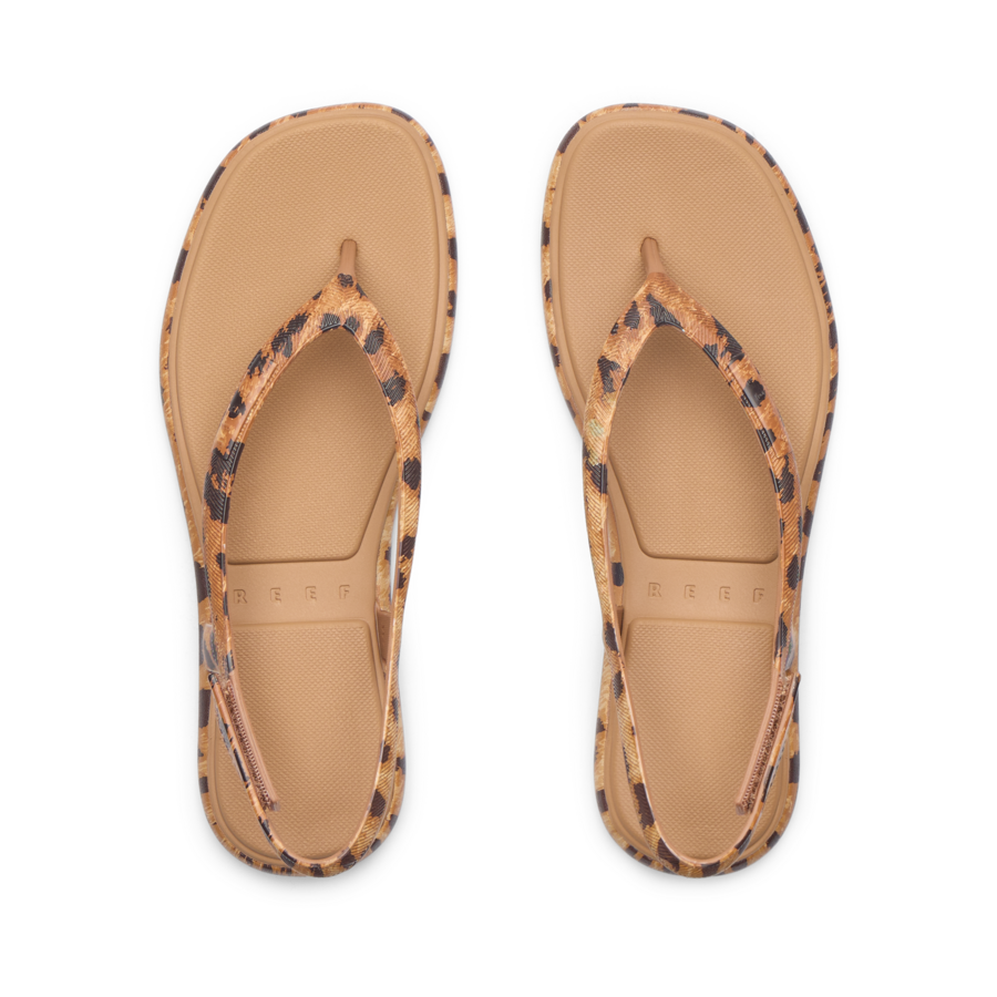 Water Willow Maya - Image 6