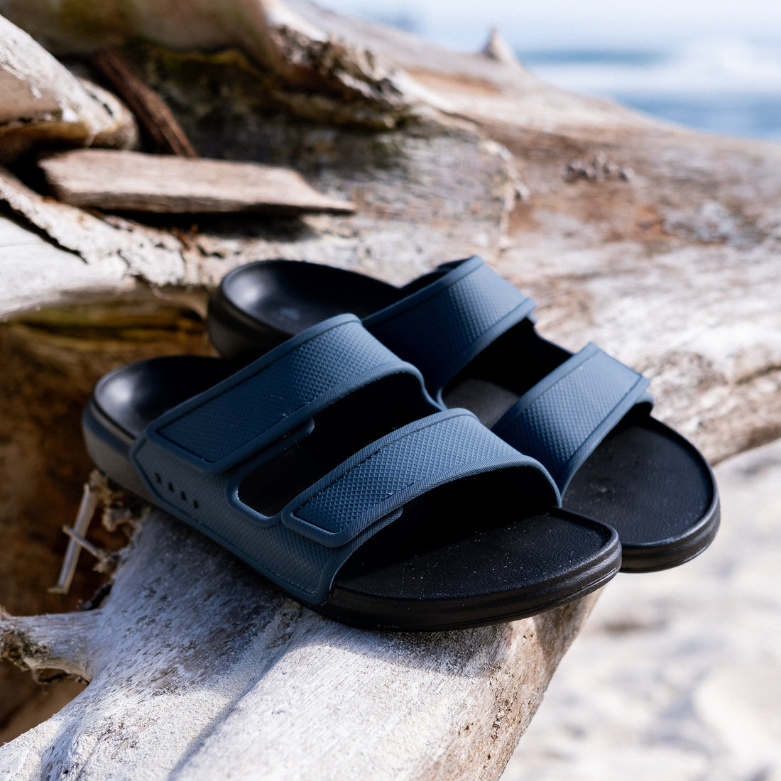 Oasis Adapt - Image 6